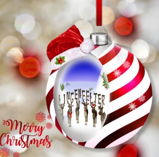 Team Lingenfelter Corvette Holiday Shopping 