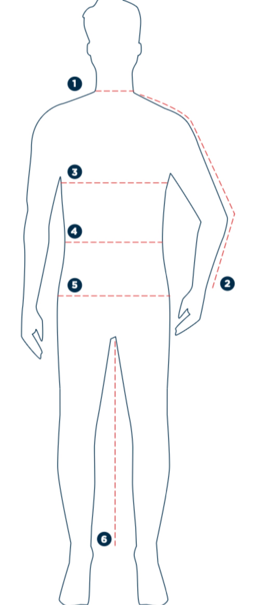 Outline of a human body with measurement points labeled on a white background