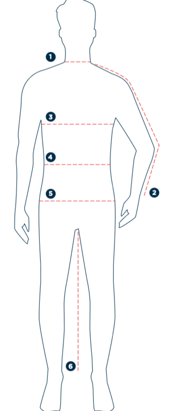 Outline of a human body with measurement points labeled on a white background